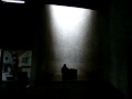 Ave Maria (Schubert) a Capella in Le Ronchamp