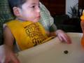Sebastian - eating blueberries!