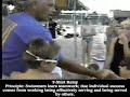 T-Shirt Swim Relay