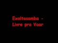 Livre-Pra-Voar