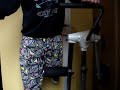Vastus femoris