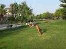 sampler garrido street stunt