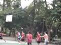 LLC6s閃避球1