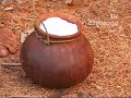 jaggery