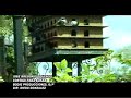 jose gregorio oquendo   contigo para soñar