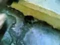 11/TM/D bah�elievler lisesi 2006