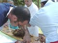 Le m�choui