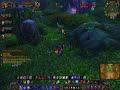 Shaman level 40 pvp