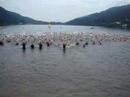 triathlon decouverte geradmer.html