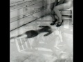 Elogio alla Follia Femmina. L'Anima di Janet Frame si sprigiona sulle fotografie di Francesca Woodman accompagnata dalle note di Persephone dei Dead Can Dance. Per restituire una parte di dignità artistica a quelle donne vittime del segno irriverente ed invisibile della malattia mentale. Per info: www.facebook.com