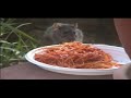 Il topo che mangia gli spaghetti al sugo