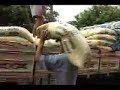 Glaucione - � tempo de mudan�a