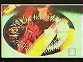 Shah - Save The Human Race