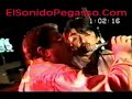 Pegasso 