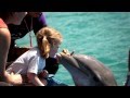 Curacao, a unique Caribbean island paradise - YouTube