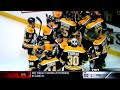 Pane Of Glass Falls on Boston Bruins Forward David Krejci (April 12 2012)