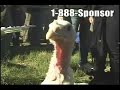 Persia White - Adopt-A-Turkey PSA