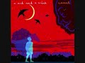Camel - For Today