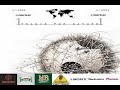David Murtagh - Introvert Extrovert (Ben Gold Remix) (played by Makrolon)