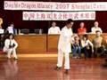 Double Dragon Alliance Masters from China