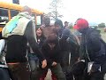Shake My Angie/The Mighty Orangutan's Theme Song
