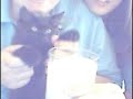 CRUSHA CAT