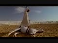 Bedouin Story: Training and living with Arabian Horses Bedouin Story: Training and living with Arabian Horses