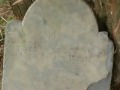 g10.MOD