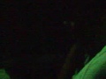 Vid0007.3gp