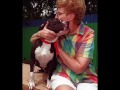 american pit bull terrier   an american hero *new version*