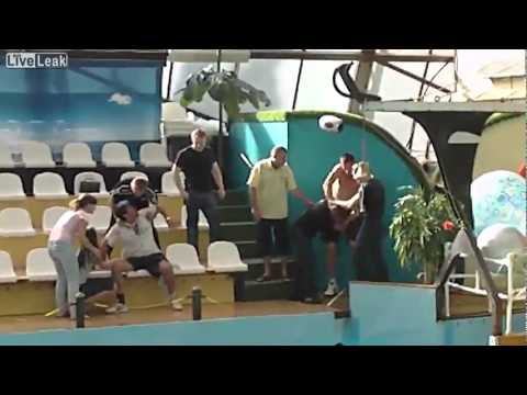 Brawl - TRANSLATION BELOW hg = hot_girl hg_bf = hot girl's boyfriend 00:19 hg_bf: So wasted 00:24 security: come on... 00:28 little_girl: what is he doing? 00:29 hg_...