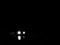 Roadside Ghost