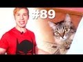 iШлёп =V [iSlap] | Просмотры: 2,168,213
