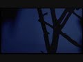 Ghostdance - Thunderheart