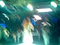 حفلة  2010 فى رأس السنة