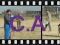 FCA 3 COMP 2009