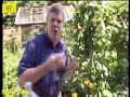 How to Grow Vegetables How to Grow Vegetables