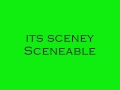 He Doesn't Care- Sceney Sceneable lyrics HD
