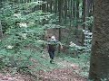 po sumama i gorama