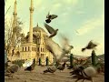 Medinenin Gülü Şiiri ( Enes Doğramacı )