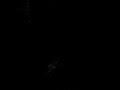 02-21-08_1248.3g2