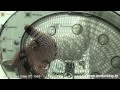 Video review Vitek VT-1559