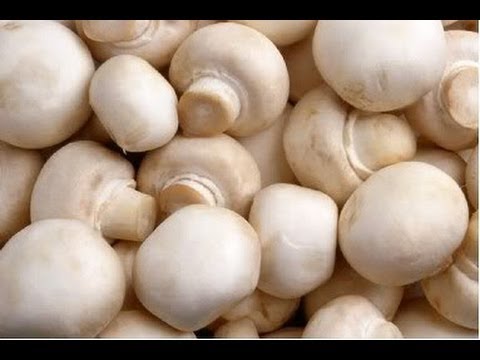 how to grow mushroom in hindi