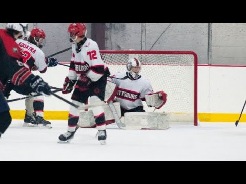 11/16/2024 Pittsburgh Vengeance vs Indiana Elite 47 Saves on 50 Shots .940 Save%