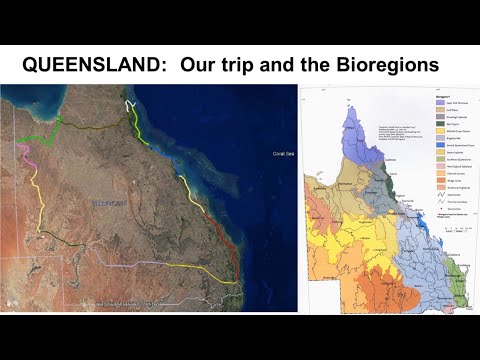 <p>Finding Queensland’s Biodiversity: A QOSI bus trip in 1992</p>
 video thumbnail