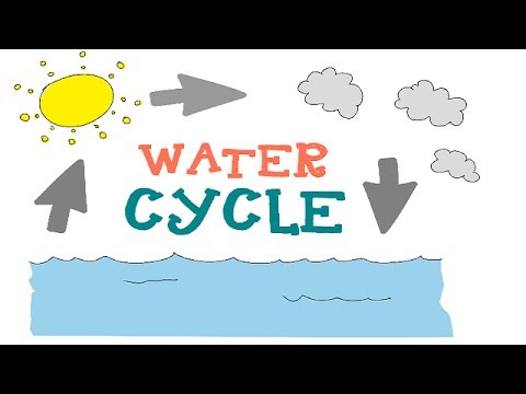 how to define the water cycle