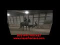 BCS WYO ROCKET.qt