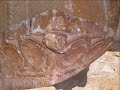 iglesia-romnica-de-san-miguel-andaluz-soria.html