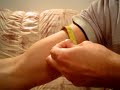 Bicep measurement