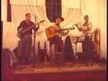 Sérgio Terres Viana - Lástima